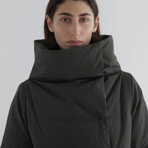 no 2703 / Long Pruit